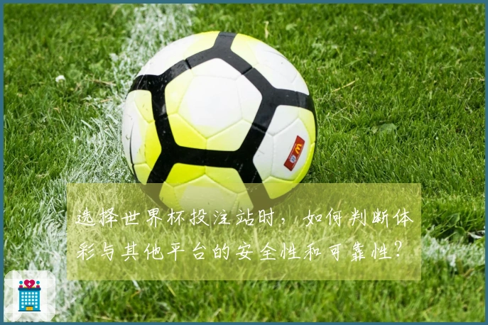 选择世界杯投注站时，如何判断体彩与其他平台的安全性和可靠性？