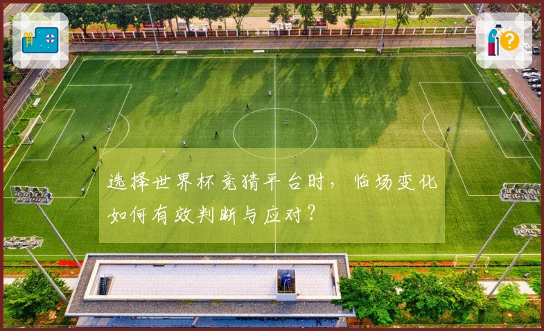 选择世界杯竞猜平台时，临场变化如何有效判断与应对？
