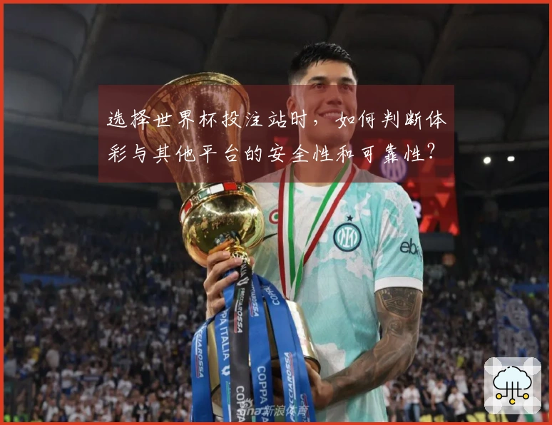 选择世界杯投注站时，如何判断体彩与其他平台的安全性和可靠性？